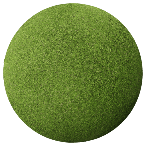 Grass 005